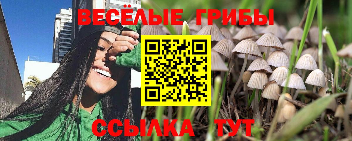 Ирбит  Псилоцибиновые грибы мицелий  Псилоцибиновые грибы Psilocybe  Вход с VPN 